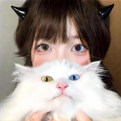 速度与激情：特工飞车手第六季